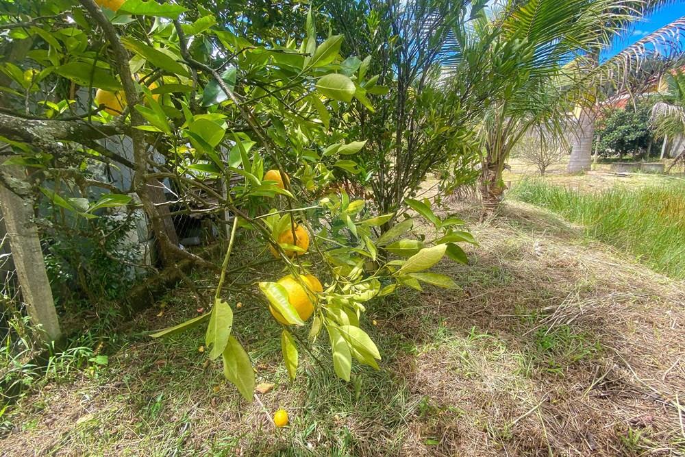 Terreno - Venda - Juiz de Fora , Minas Gerais - Foto0011.jpg - 860241137-15