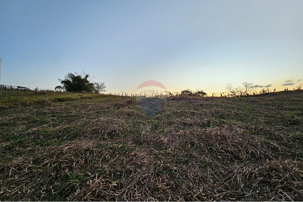 Residential - Maa - Muriaé , Minas Gerais - BR - 20250808_173932.jpg - 860371002-183