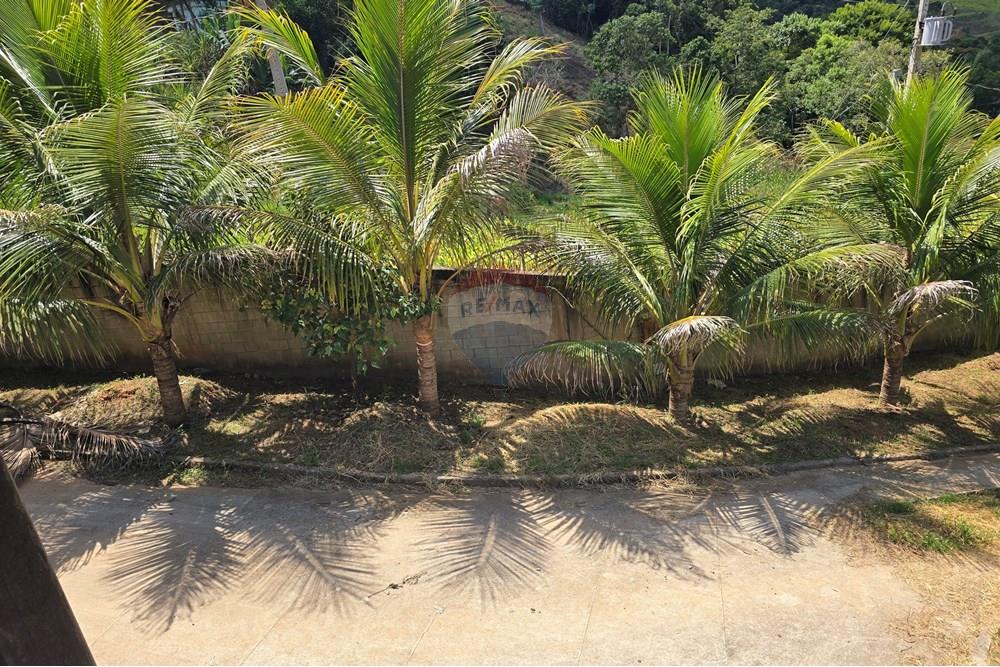 Chácara / Sítio / Fazenda - Venda - Ewbank da Câmara , Minas Gerais - 51.jpg - 860381070-34