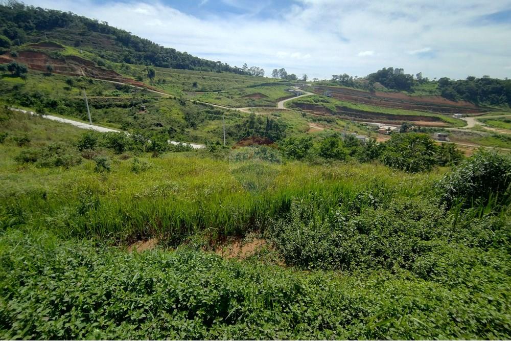 Terreno - Venda - Matias Barbosa , Minas Gerais - IMG_20250118_092333874_HDR.jpg - 860301010-76