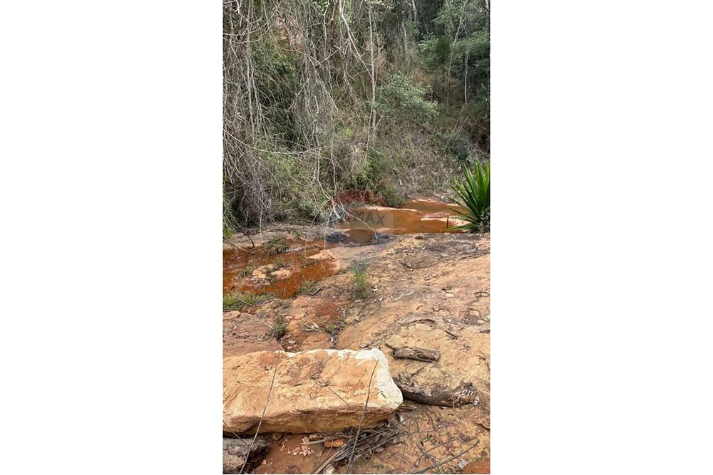 Chácara / Sítio / Fazenda - Venda - Lamim , Minas Gerais - WhatsApp Image 2025-09-05 at 10.36.58 (17).jpeg - 860291033-115