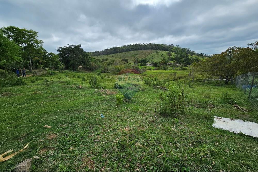 Terreno - Venda - Barão de Monte Alto , Minas Gerais - 20251207_080622.jpg - 860371002-205