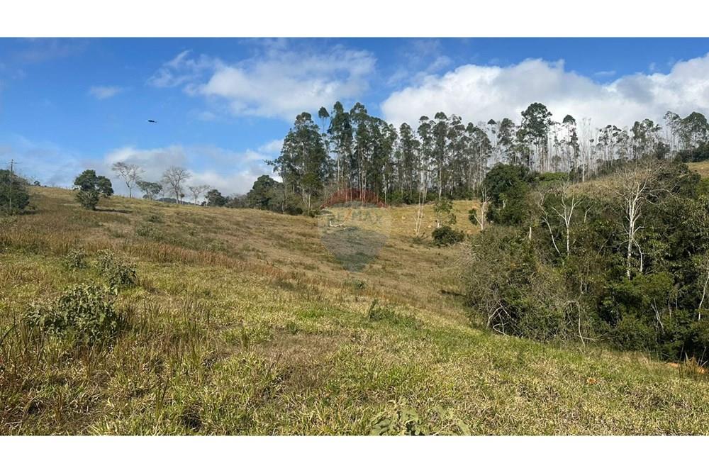 Terreno - Venda - Juiz de Fora , Minas Gerais - 5b06a97e-2f70-401b-a8ee-d15dafd4751e.JPG - 860291033-116