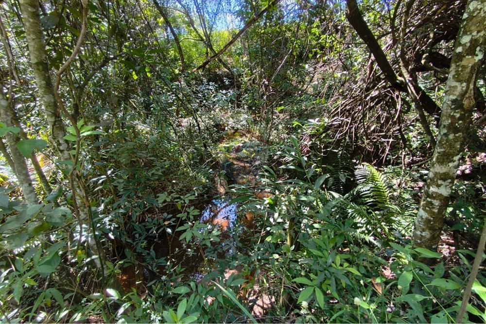 Chácara / Sítio / Fazenda - Venda - Lavras , Minas Gerais - WhatsApp Image 2026-04-08 at 17.33.35.jpeg - 860471037-28