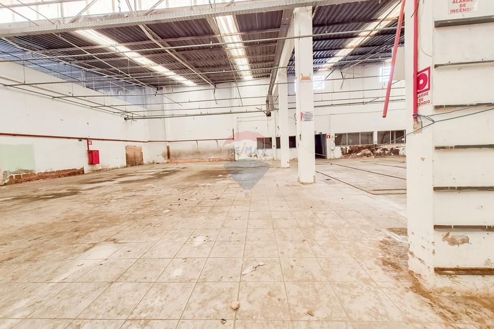 Galpão - Alugar - Juiz de Fora , Minas Gerais - 20260319_134809.jpg - 860301048-57