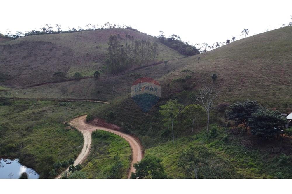 Chácara / Sítio / Fazenda - Venda - Ewbank da Câmara , Minas Gerais - WhatsApp Image 2025-02-19 at 16.44.54.jpeg - 860301045-274