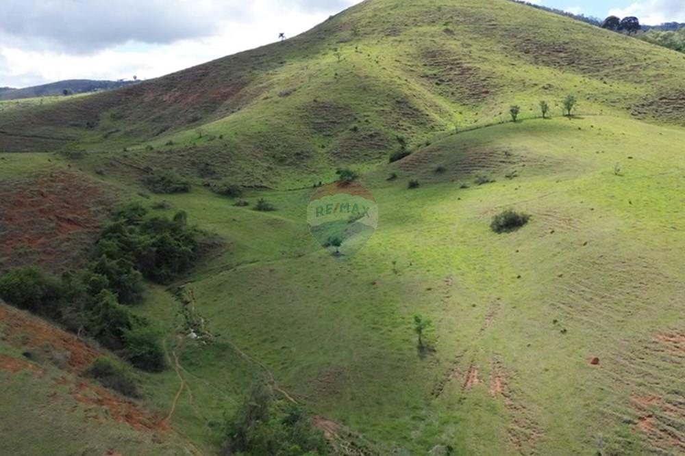 Agro - Venda - Rochedo de Minas , Minas Gerais - 5b5a95fd-c826-405c-824e-f5dbddb6c325.JPG - 860291041-34