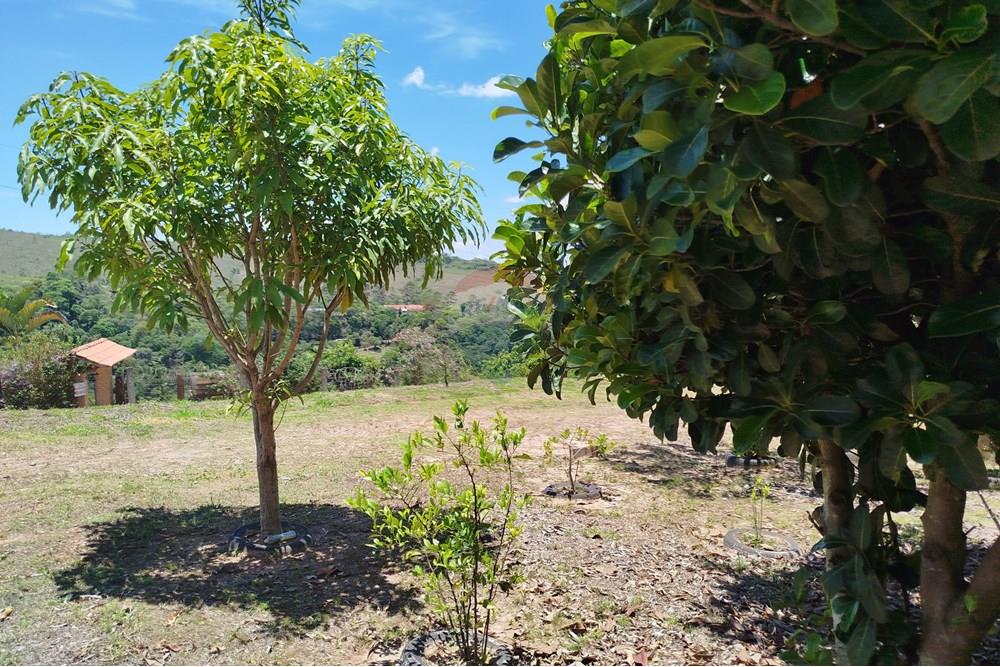 Terreno - Venda - Barbacena , Minas Gerais - IMG_20251112_113045.jpg - 860391012-36
