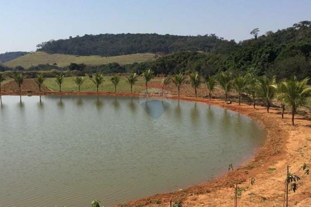 Terreno - Venda - Leopoldina , Minas Gerais - Imagem do WhatsApp de 2025-08-12 à(s) 19.00.03_6dde412e - Copia.jpg - 860381054-6