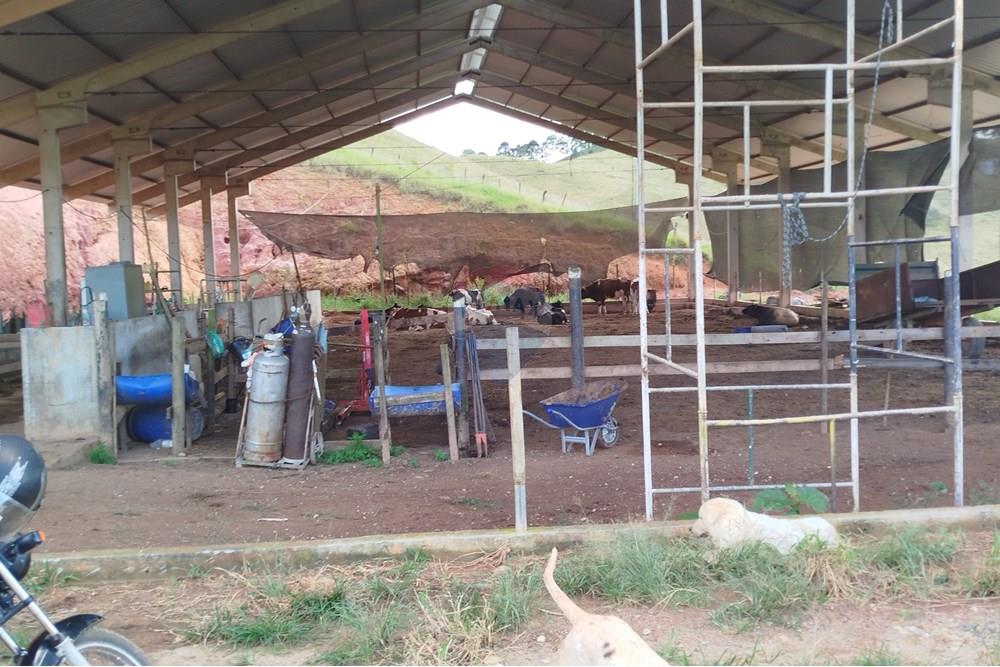 Fazenda - Venda - Barbacena , Minas Gerais - IMG_20250402_144254.jpg - 860391012-32