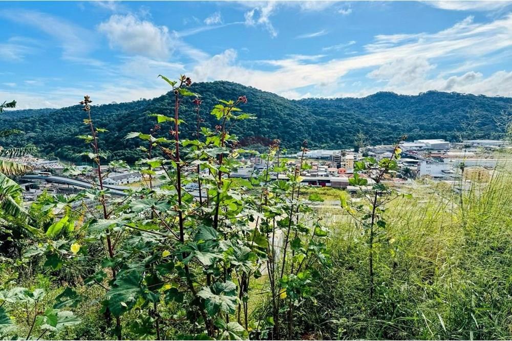 Terreno - Venda - Juiz de Fora , Minas Gerais - b15855f2-6bf4-49d3-9440-a53c90b9825c.jpg - 860211053-57