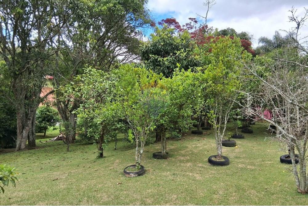 Chácara / Sítio / Fazenda - Venda - Juiz de Fora , Minas Gerais - WhatsApp Image 2025-11-18 at 21.05.29.jpeg - 860281098-63