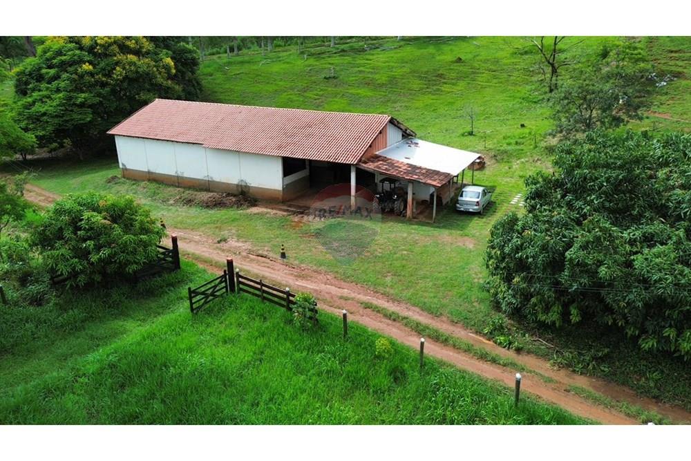 Chácara / Sítio / Fazenda - Venda - Lima Duarte , Minas Gerais - WhatsApp Image 2026-02-09 at 07.47.20 (2).jpeg - 860271019-33