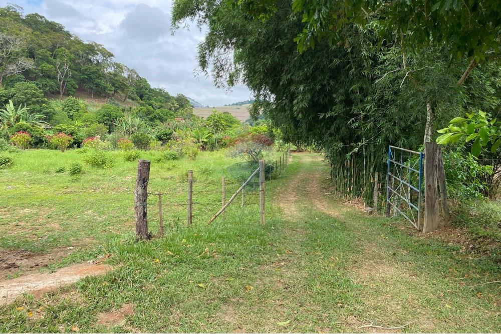Chácara / Sítio / Fazenda - Venda - Muriaé , Minas Gerais - IMG-20250316-WA0141.jpg - 860371002-116