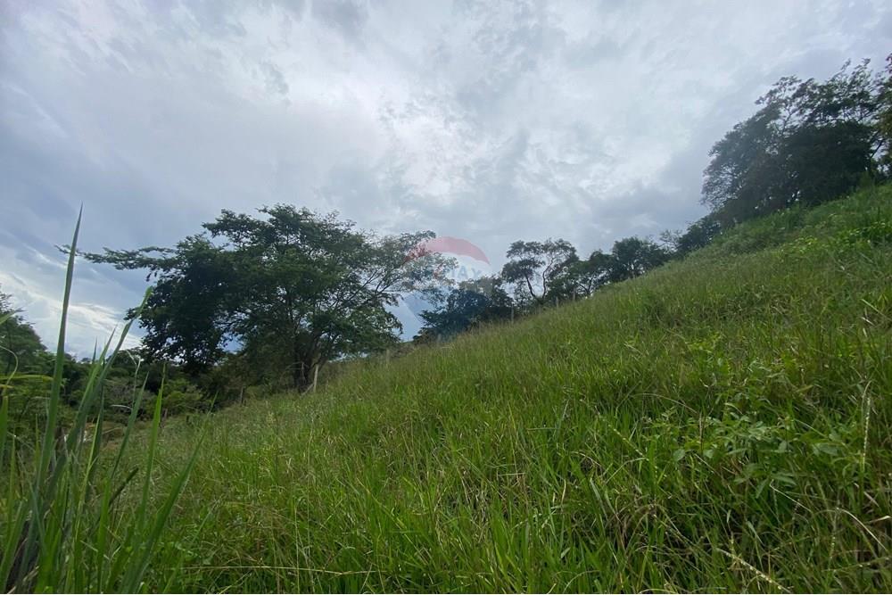 Chácara / Sítio / Fazenda - Venda - Muriaé , Minas Gerais - WhatsApp Image 2025-03-24 at 16.21.11 (1).jpeg - 860371002-116