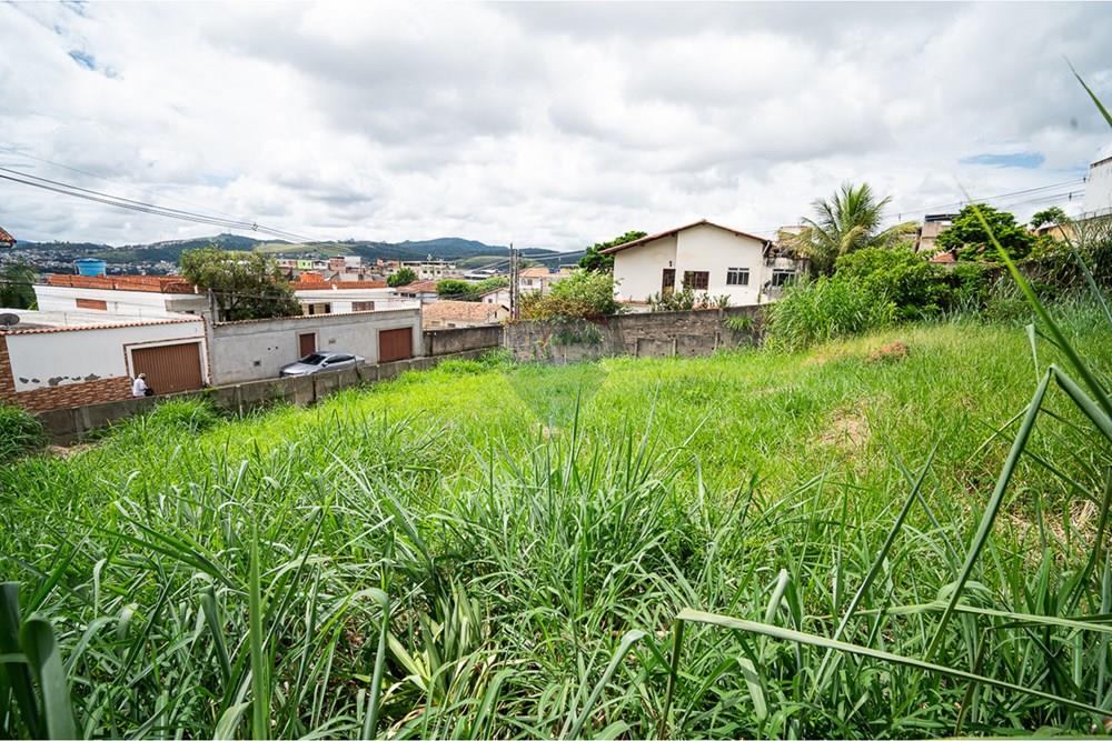 Terreno - Venda - Juiz de Fora , Minas Gerais - michaelseed photo_202603_03-57.jpg - 860211134-4