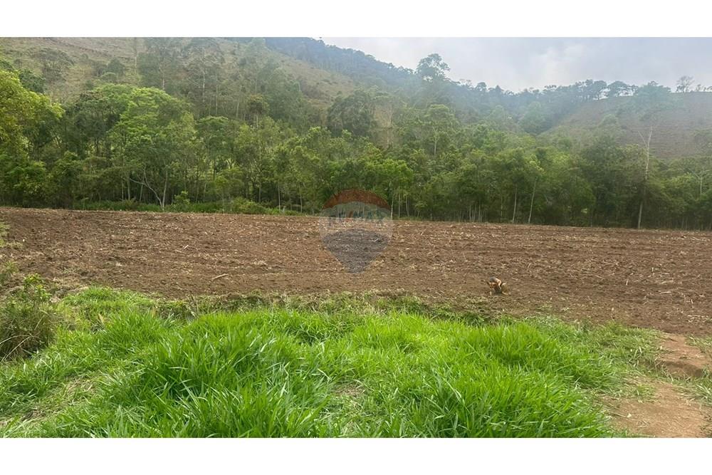 Casa - Alugar - Juiz de Fora , Minas Gerais - 6fd1fa87-791e-4fcb-a8bd-48bb1131268a.jpg - 860291033-143