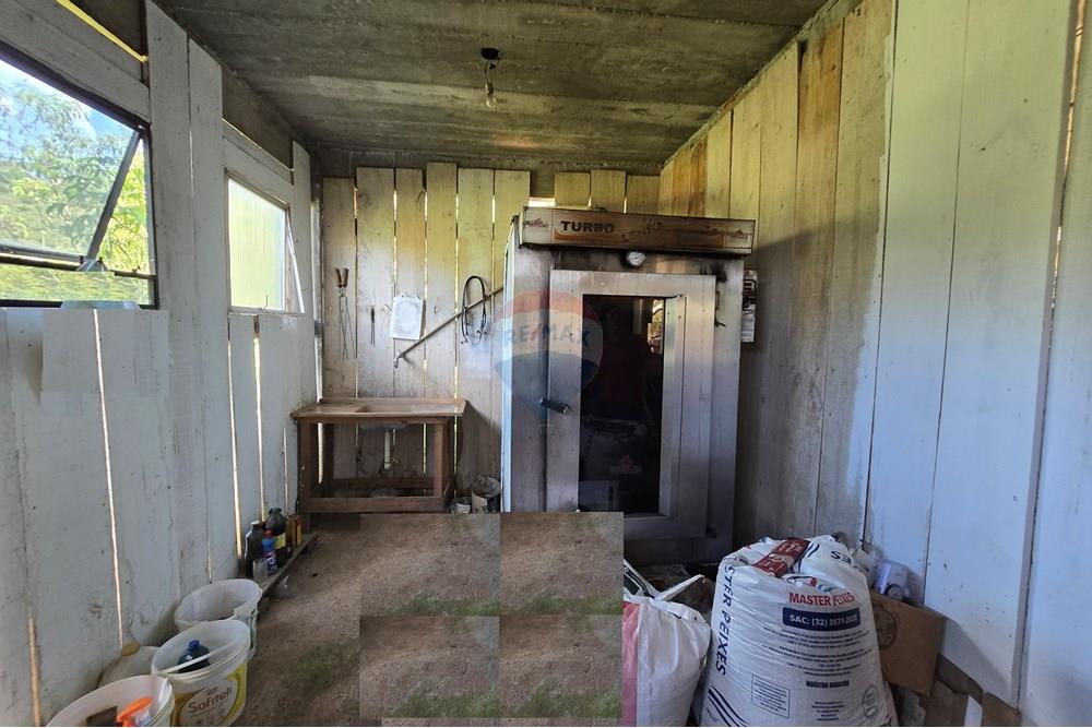 Chácara / Sítio / Fazenda - Venda - Ewbank da Câmara , Minas Gerais - 48.jpg - 860381070-34