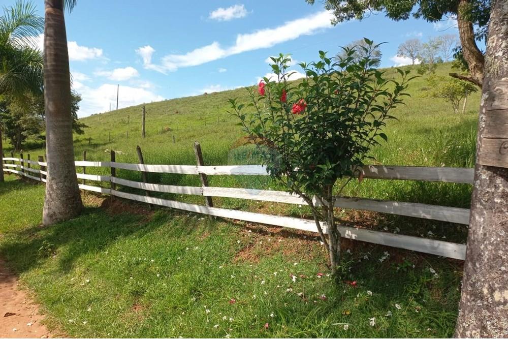 Chácara / Sítio / Fazenda - Venda - Lima Duarte , Minas Gerais - WhatsApp Image 2025-03-01 at 10.18.07(1).jpeg - 860291033-79