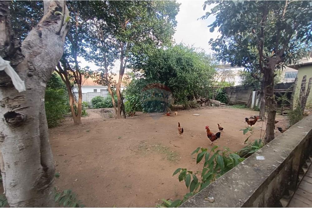 Casa - Venda - Conselheiro Lafaiete , Minas Gerais - aa81019a-5f14-450f-85d7-2c22c58feb73.jpeg - 860421022-111