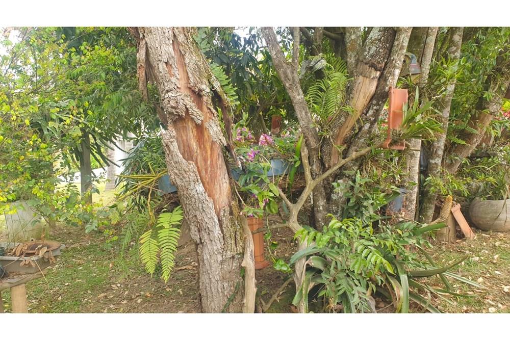 Chácara / Sítio / Fazenda - Venda - Barbacena , Minas Gerais - WhatsApp Image 2025-11-17 at 14.43.28 (22).jpeg - 860391028-24