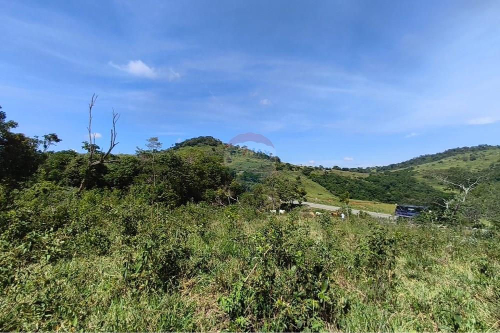 Chácara / Sítio / Fazenda - Venda - Lavras , Minas Gerais - WhatsApp Image 2026-04-08 at 17.33.37 (2).jpeg - 860471037-28