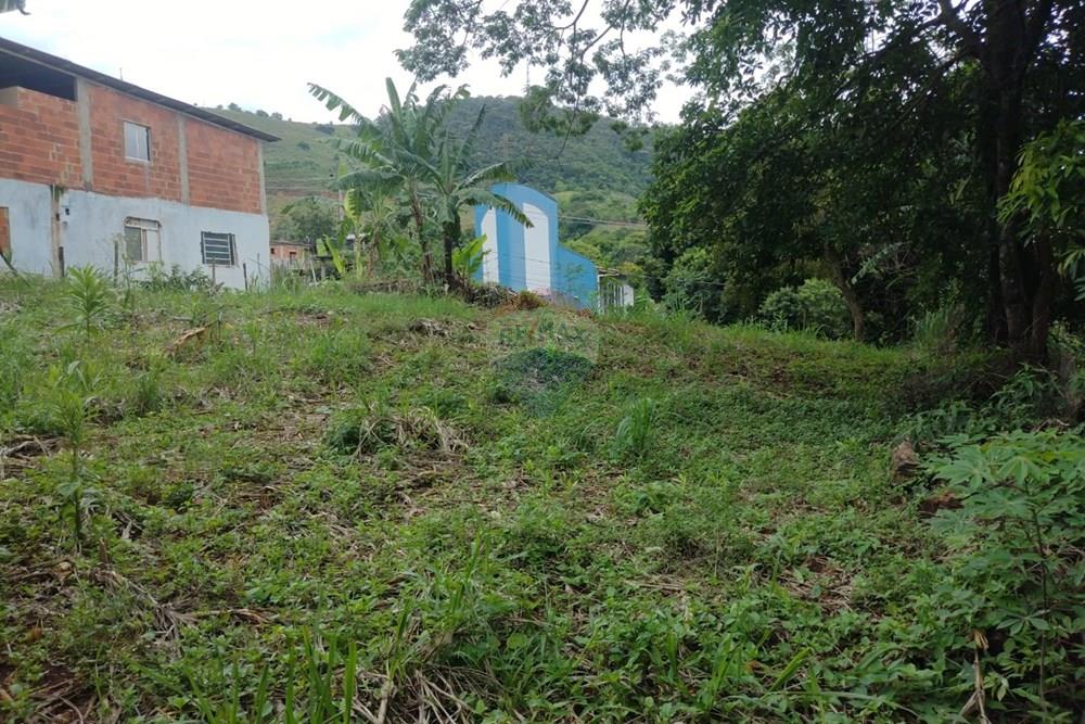 Terreno - Venda - Carangola , Minas Gerais - 1000099431.jpg - 860501015-91