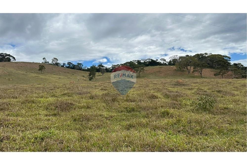 Chácara / Sítio / Fazenda - Venda - Lamim , Minas Gerais - L_3e8f5236-f17c-4796-8cbe-9cc273f76280.jpg - 860291033-108