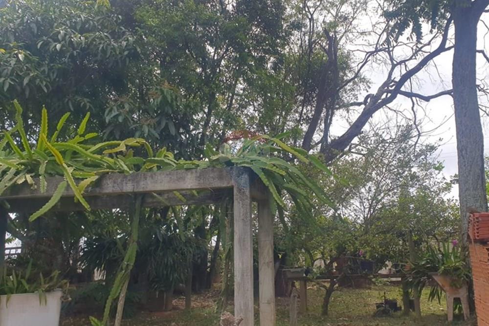 Chácara / Sítio / Fazenda - Venda - Barbacena , Minas Gerais - WhatsApp Image 2025-11-17 at 14.43.28 (28).jpeg - 860391028-24