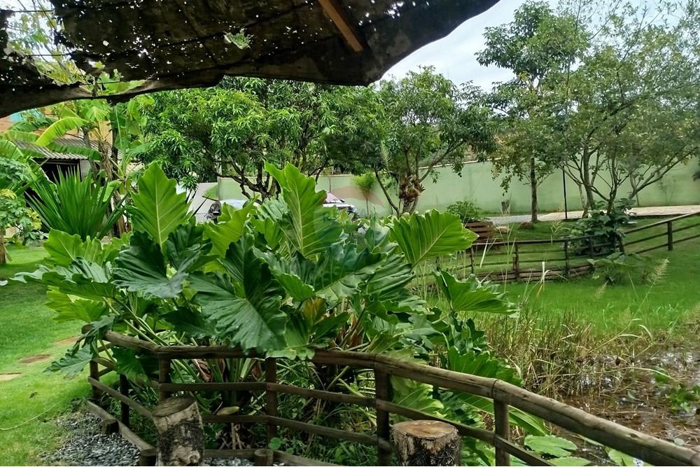 Hotel/ Pousada - Venda - Tiradentes , Minas Gerais - IMG_20250131_120407.jpg - 860391012-33