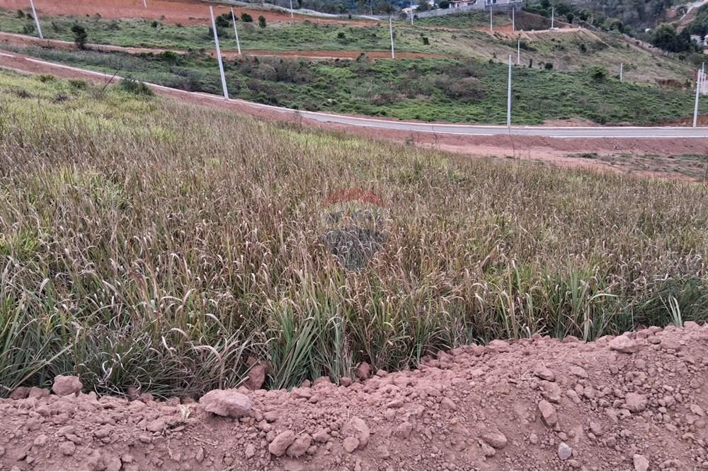 Terreno - Venda - Juiz de Fora , Minas Gerais - WhatsApp Image 2025-10-23 at 21.52.56.jpeg - 860281098-56
