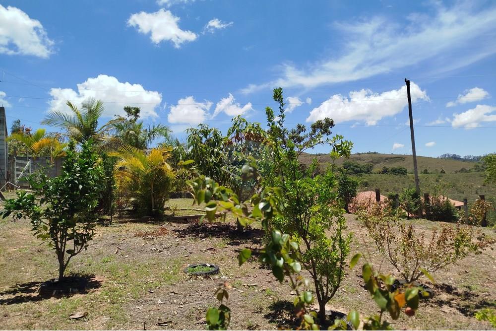 Terreno - Venda - Barbacena , Minas Gerais - IMG_20251112_113041.jpg - 860391012-36