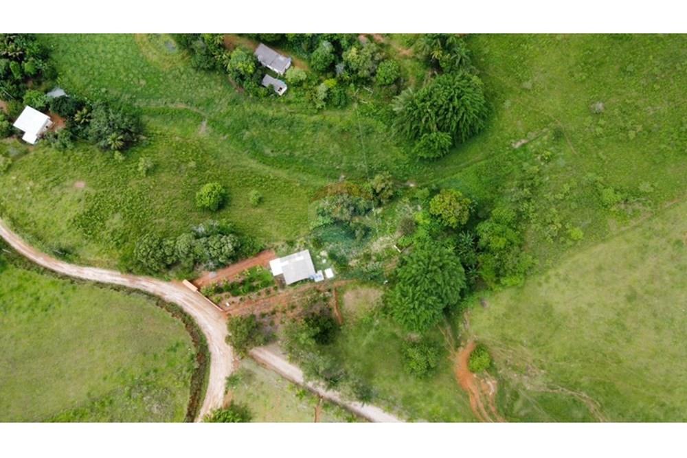 Chácara / Sítio / Fazenda - Venda - Muriaé , Minas Gerais - WhatsApp Image 2026-01-27 at 13.54.05 (3).jpeg - 860371007-116