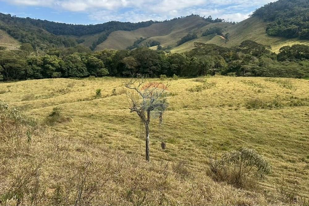 Chácara / Sítio / Fazenda - Venda - Lima Duarte , Minas Gerais - a0a81c1e-3c36-4a04-bb70-3437c1157261 (1).JPG - 860291033-133