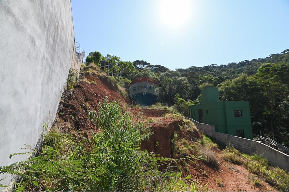 Terreno - Venda - Juiz de Fora , Minas Gerais - michaelseed.photo_09 10 11-55-XL.jpg - 860211097-53