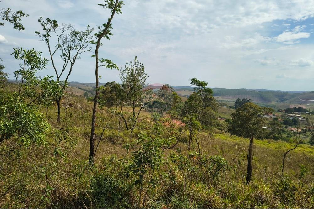 Terreno - Venda - Barbacena , Minas Gerais - IMG_20251029_145136374_HDR.jpg - 860391007-46
