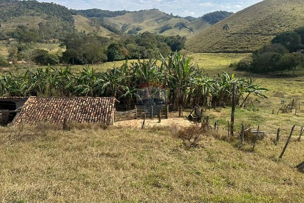Chácara / Sítio / Fazenda - Venda - Lima Duarte , Minas Gerais - f6b84466-980d-449f-a320-ec6c14f9955c.JPG - 860291033-133