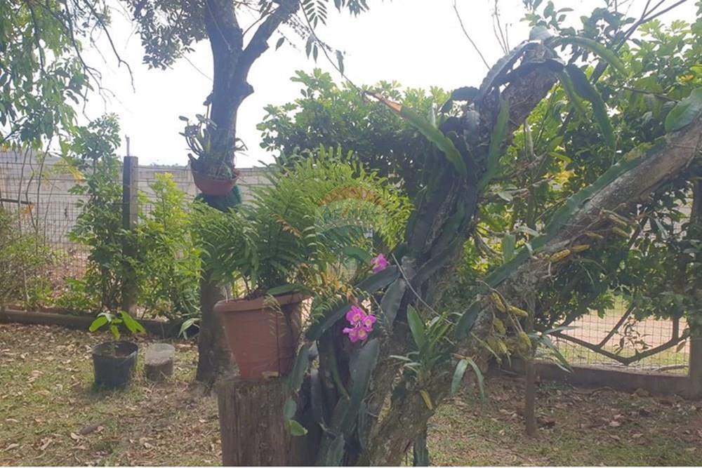 Chácara / Sítio / Fazenda - Venda - Barbacena , Minas Gerais - WhatsApp Image 2025-11-17 at 14.43.28 (21).jpeg - 860391028-24