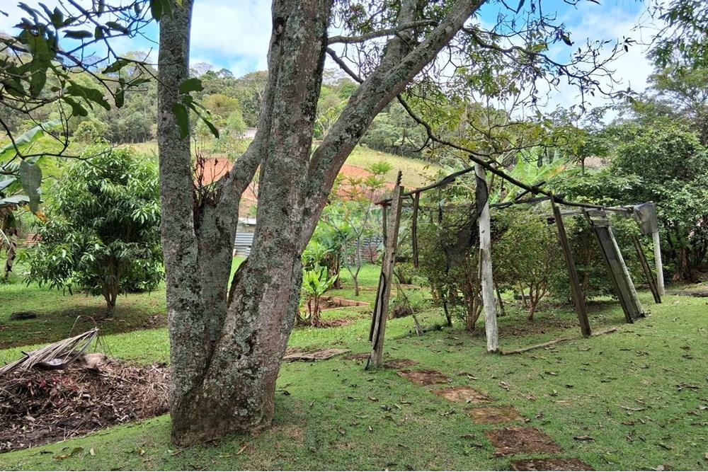 Chácara / Sítio / Fazenda - Venda - Juiz de Fora , Minas Gerais - WhatsApp Image 2025-11-18 at 21.05.18.jpeg - 860281098-63
