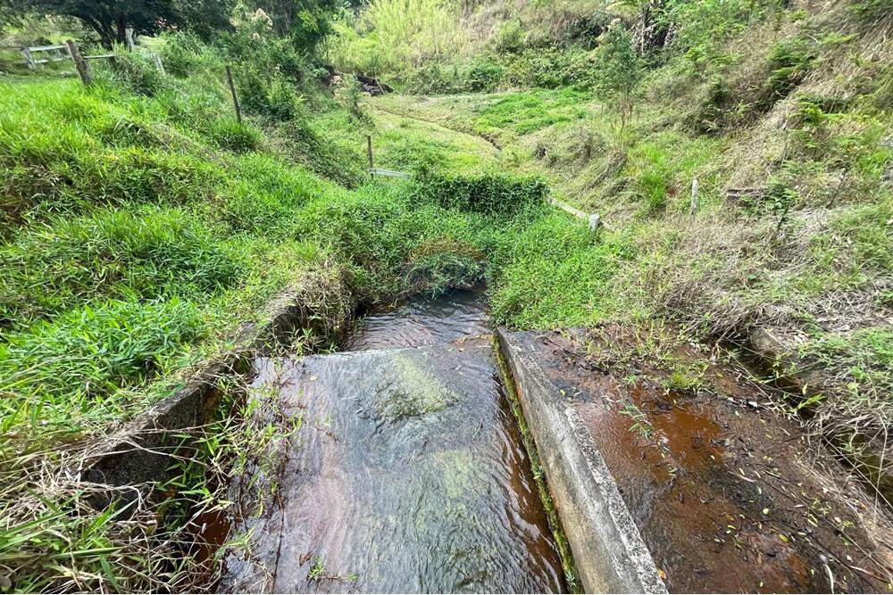 Chácara / Sítio / Fazenda - Venda - Lima Duarte , Minas Gerais - WhatsApp Image 2025-10-14 at 09.44.37 (20).jpeg - 860271019-8