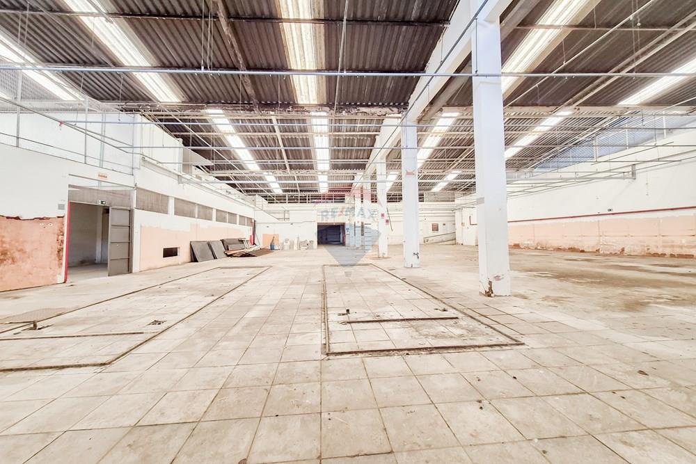 Galpão - Alugar - Juiz de Fora , Minas Gerais - 20260319_134533.jpg - 860301048-57