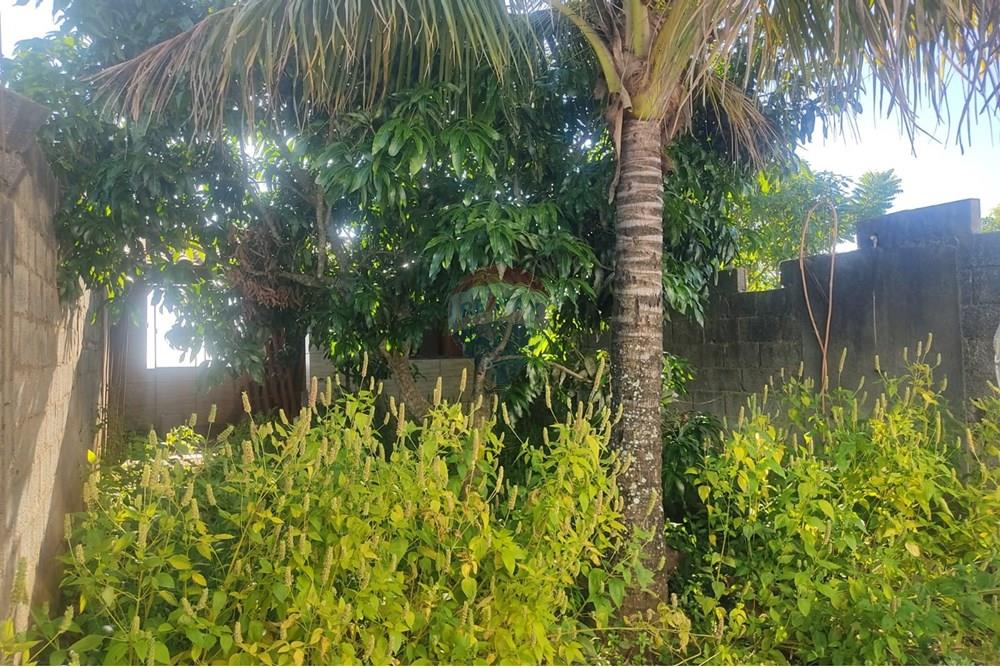 Casa - Venda - Juiz de Fora , Minas Gerais - WhatsApp Image 2025-05-27 at 19.39.28 (4).jpeg - 860301045-318