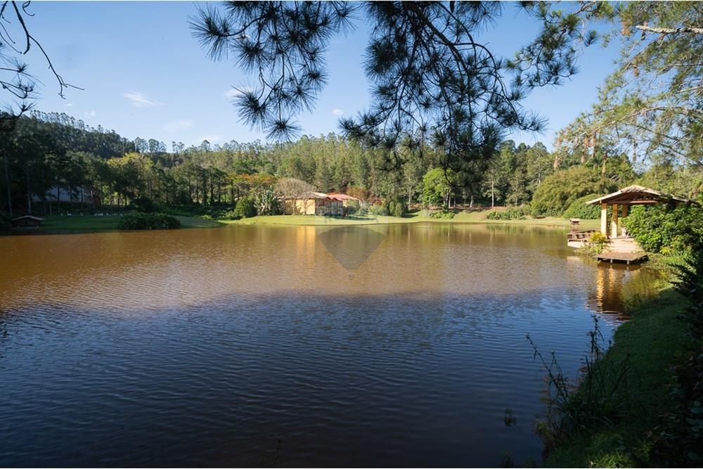Terreno - Venda - Matias Barbosa , Minas Gerais - michaelseed.photo_SEMANA 2 11-332.jpg - 860361050-63