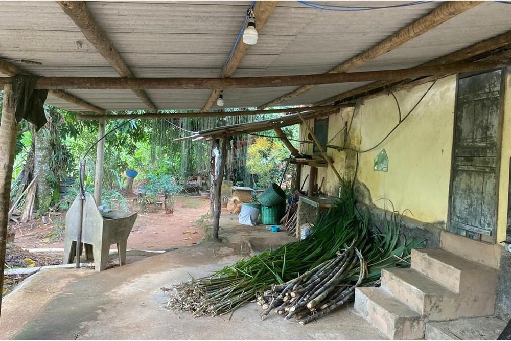 Chácara / Sítio / Fazenda - Venda - Muriaé , Minas Gerais - WhatsApp Image 2025-03-24 at 12.32.20 (5).jpeg - 860371002-116