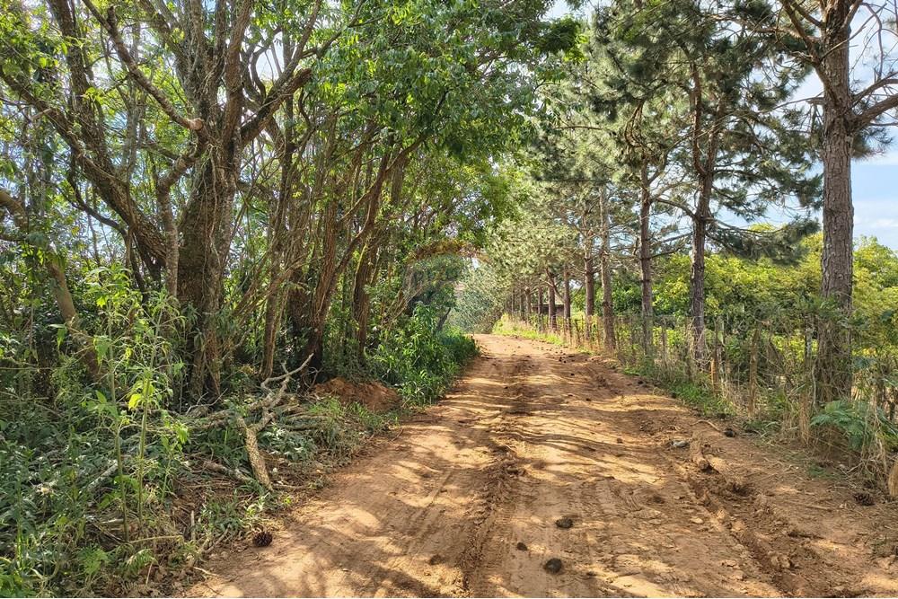 Terreno - Venda - Barbacena , Minas Gerais - IMG_20251029_145458853_HDR.jpg - 860391007-46