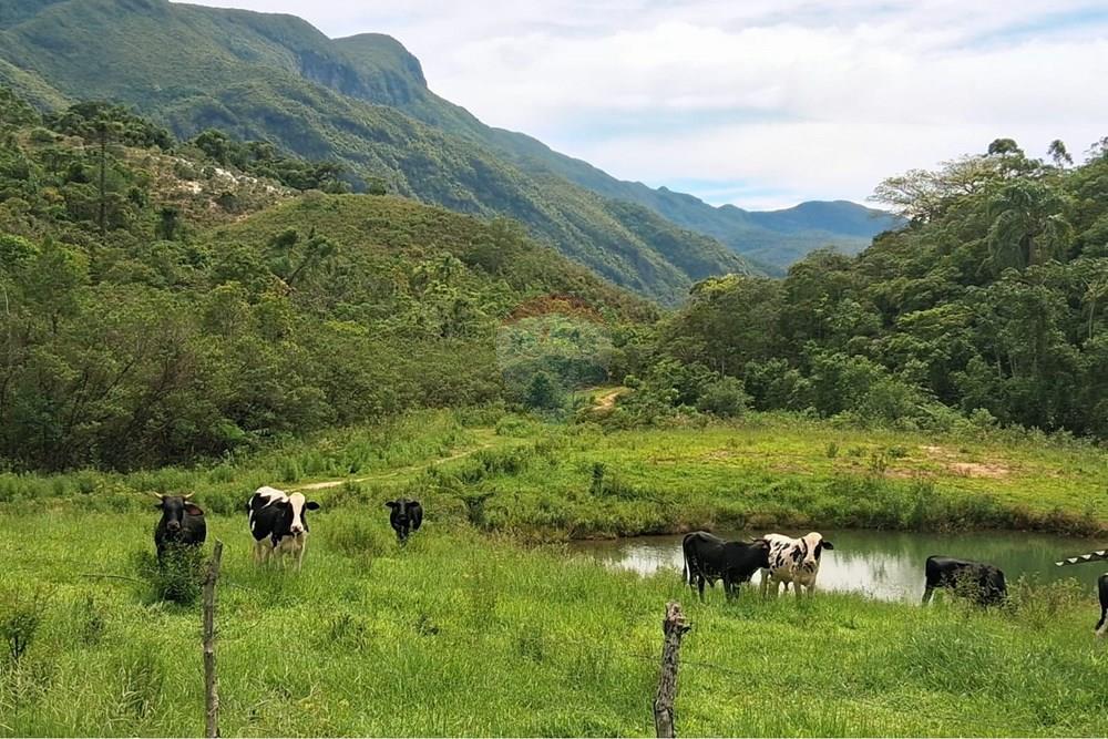 Chácara / Sítio / Fazenda - Venda - Rio Preto , Minas Gerais - WhatsApp Image 2026-01-10 at 15.05.54.jpeg - 860281098-65