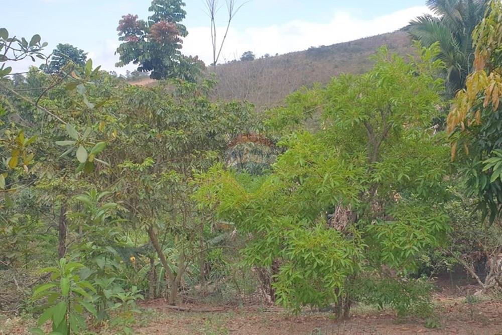 Chácara / Sítio / Fazenda - Venda - Barbacena , Minas Gerais - WhatsApp Image 2025-11-17 at 14.43.29 (7).jpeg - 860391028-24