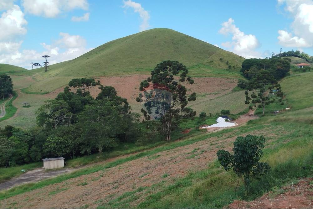 Fazenda - Venda - Barbacena , Minas Gerais - IMG_20250402_144239.jpg - 860391012-32