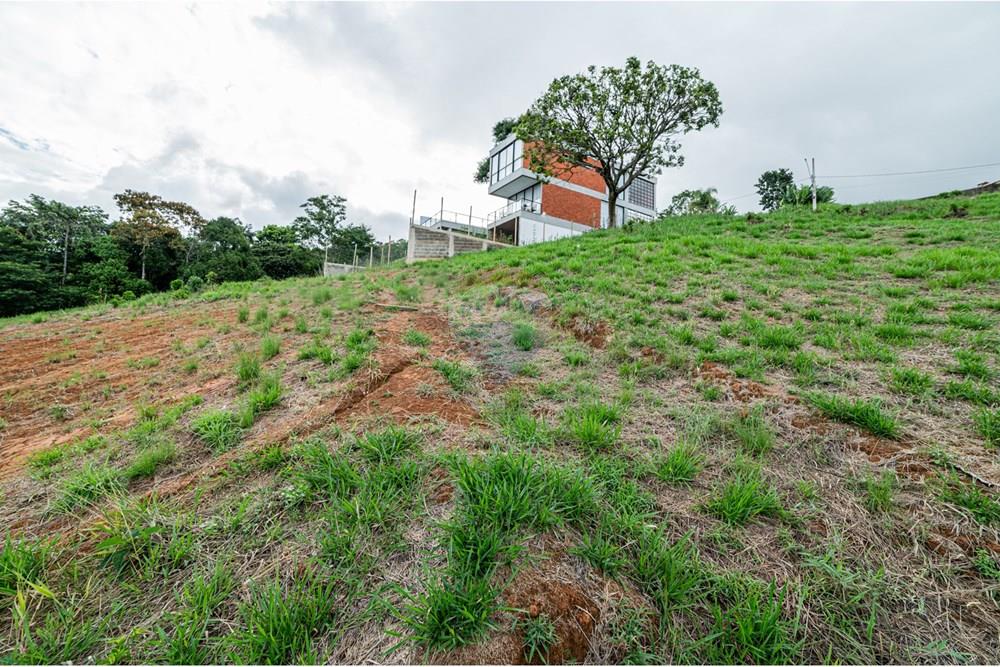 Terreno - Venda - Juiz de Fora , Minas Gerais - michaelseed%20photo_SEMANA3_MAR%C3%87O-13-2.jpg - 860271007-47