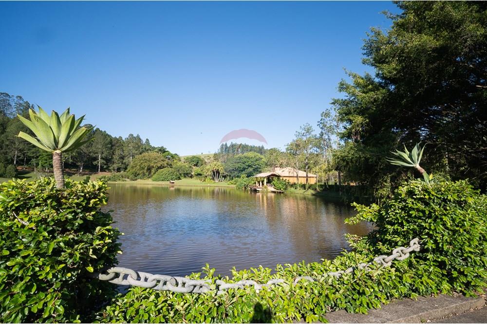 Terreno - Venda - Matias Barbosa , Minas Gerais - michaelseed.photo_SEMANA 2 11-333.jpg - 860361050-63